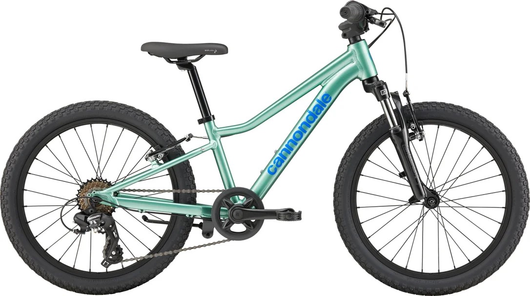 bikester1003998