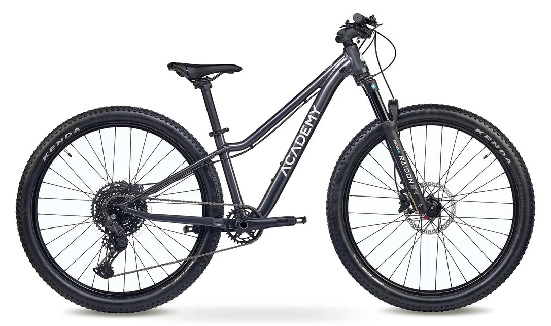 bikester961169