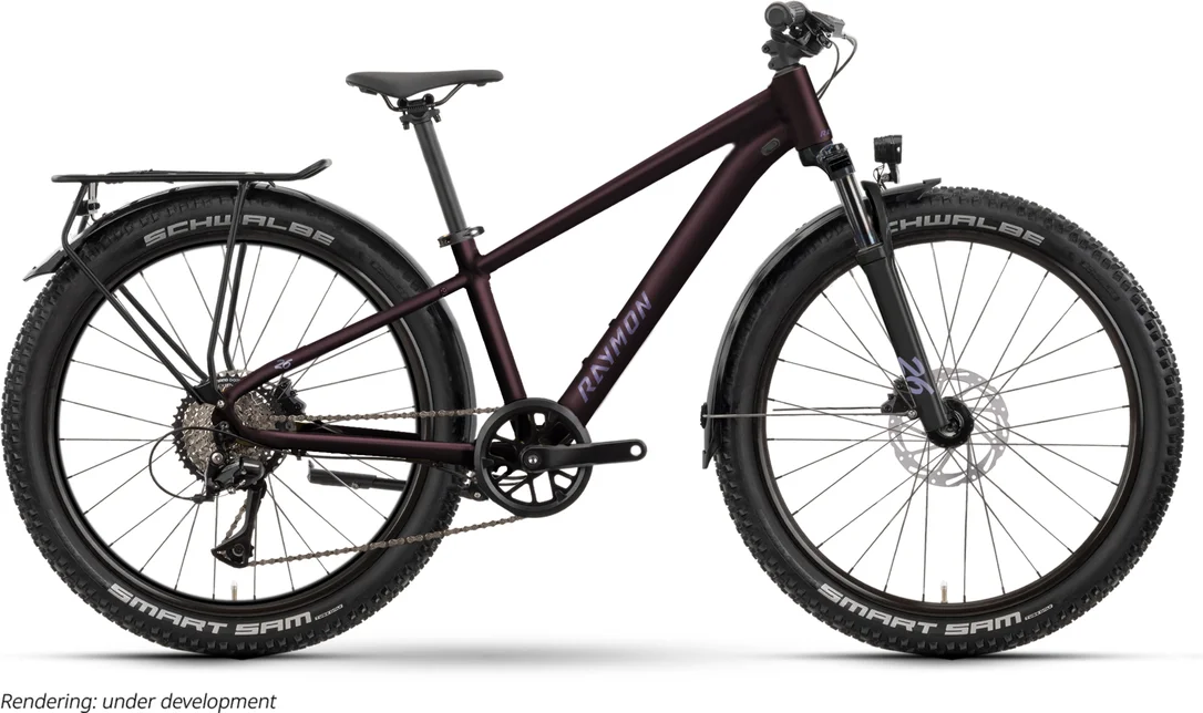 bikester964995