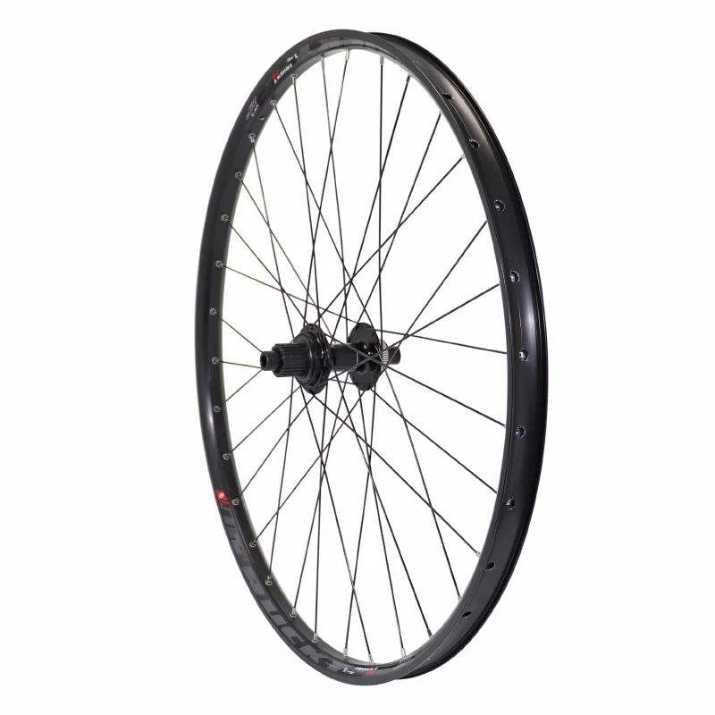 culturevelo202610200059471383250
