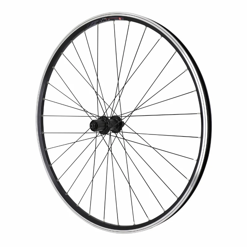culturevelo202610200102551383722