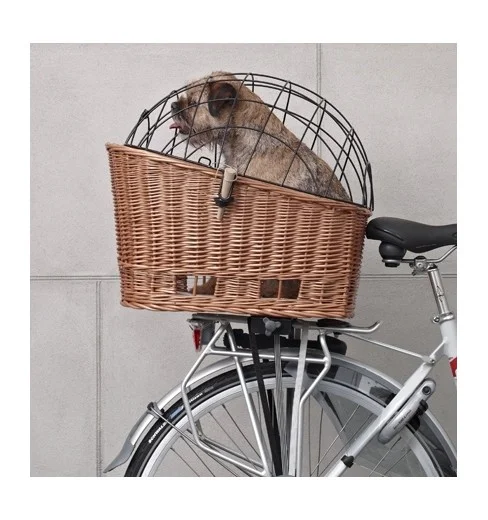 cyclesetsports202610181354151036954