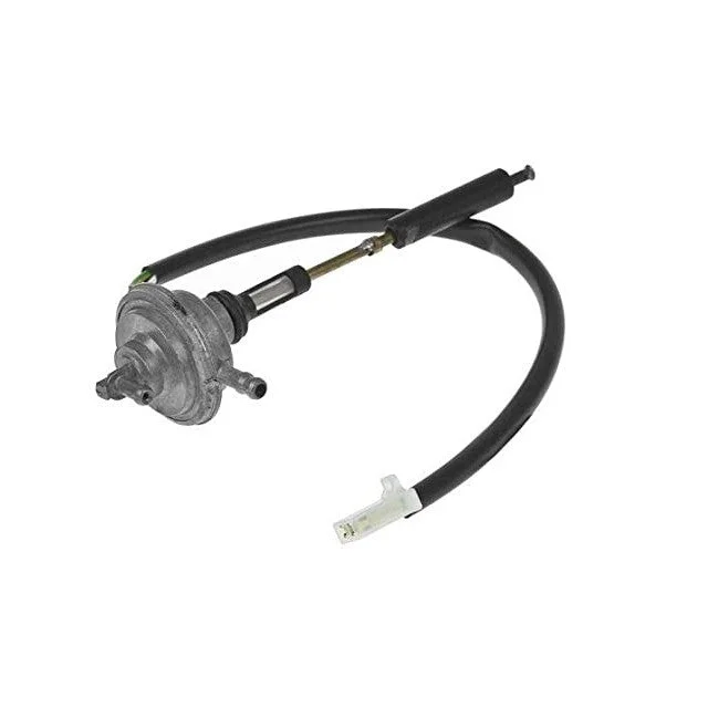 motoscoot1001081