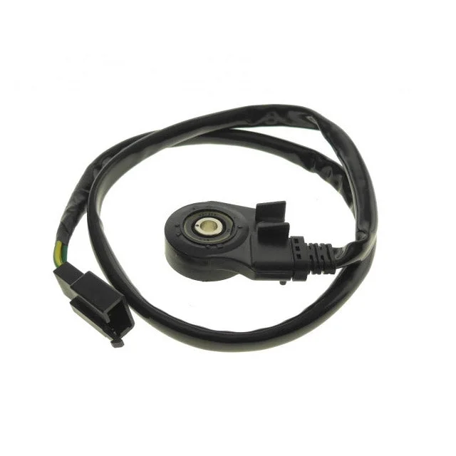 motoscoot1009435