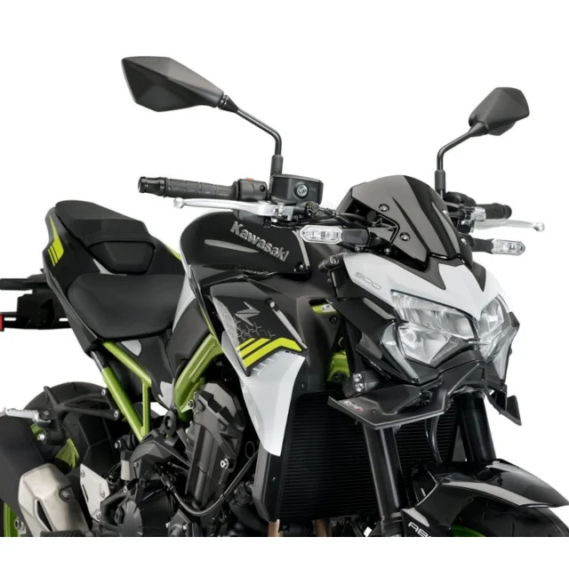 motoscoot1010042