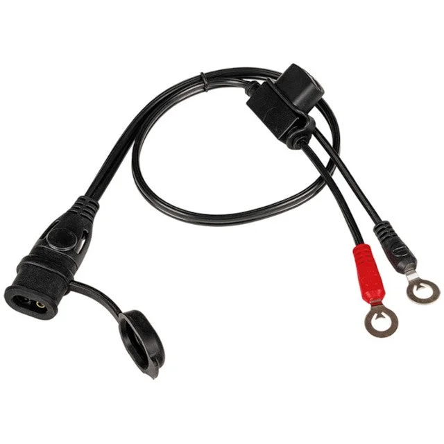 motoscoot1060902