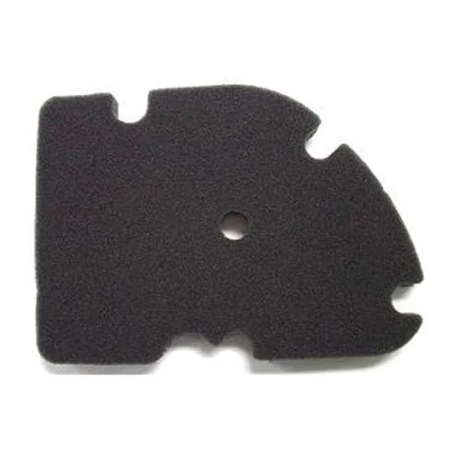 motoscoot1082027
