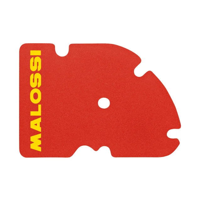 motoscoot1093279