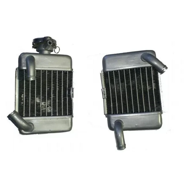 motoscoot1102192