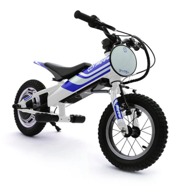 motoscoot1112317