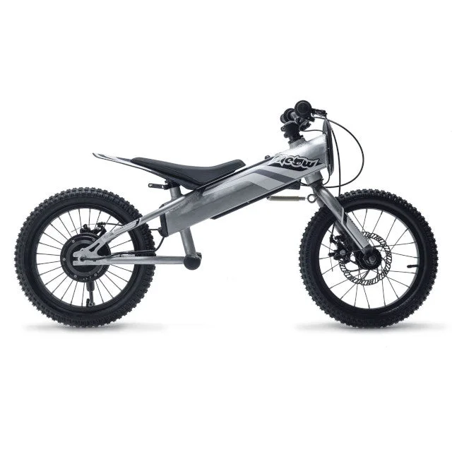 motoscoot1112376