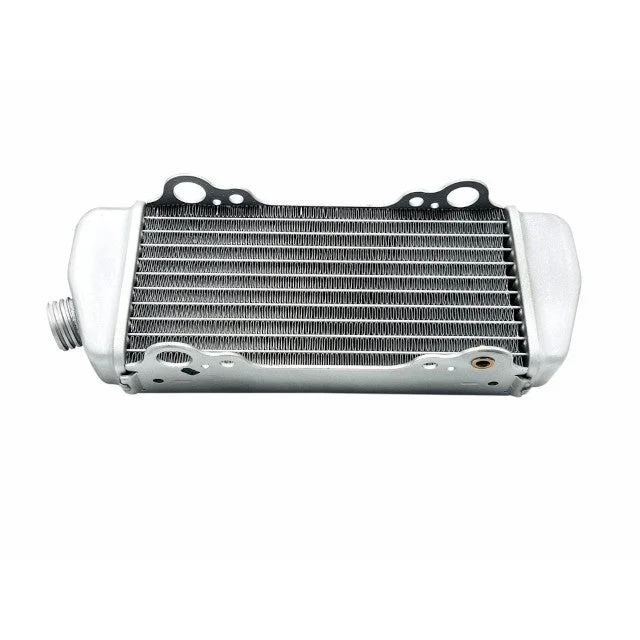 motoscoot1116960