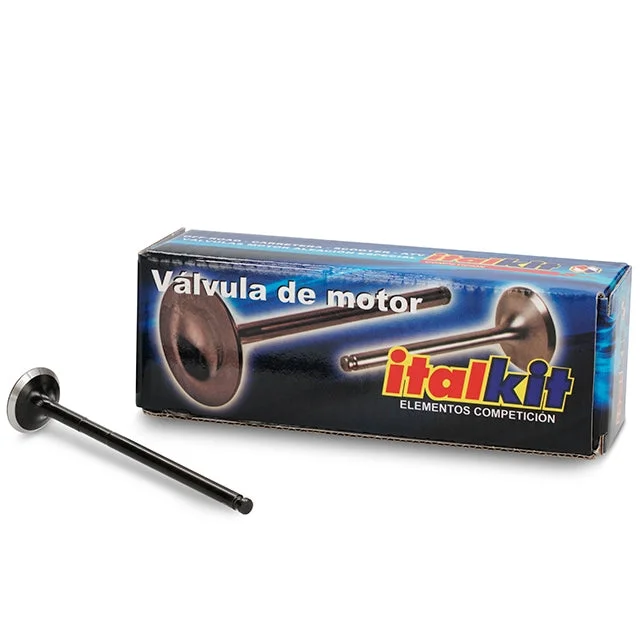motoscoot987233