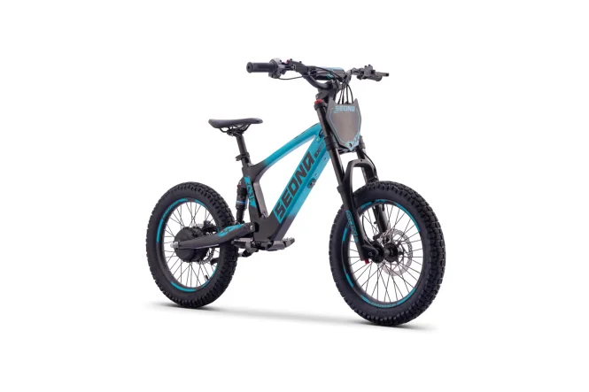 pitrider202610181329491031681