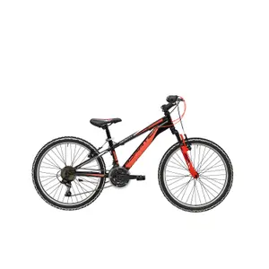 velo-store-1202610182202011127988