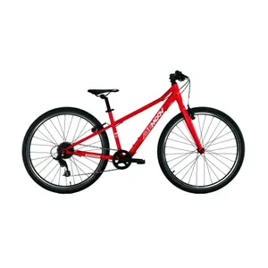 velo-store-1202610190206161166927