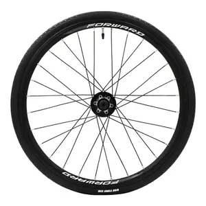 velo-store-1202610191057571243050