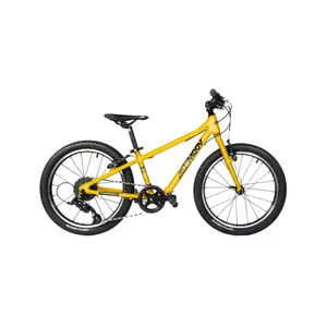 velo-store-1202610191106591245520