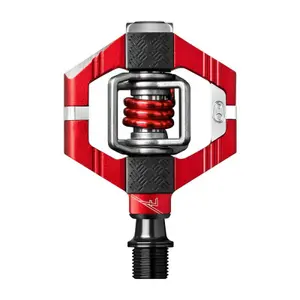 velo-store-12026102019354939999