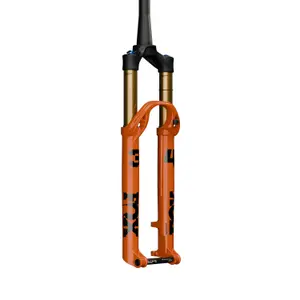 velo-store-120261021042929113187