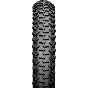 velo-store-120261021054051122147