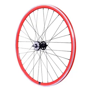 velo-store-120261021074906136271