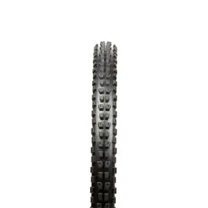 velo-store-120261021075549137131