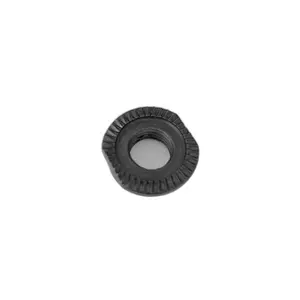 velo-store-120261021080624138453