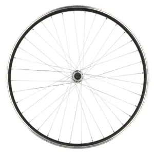 velo-store-120261021133503169844