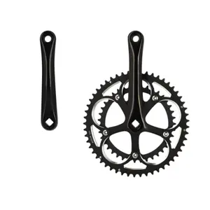 velo-store-120261022032949261049