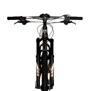 velo-store-120261022191656415559