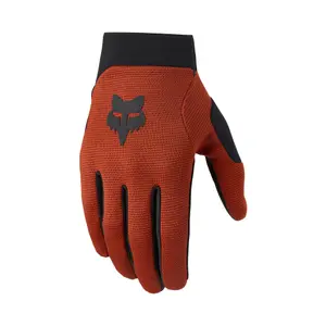 velo-store-120261022203222429704