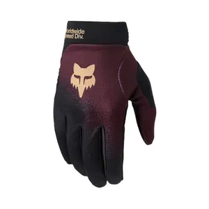 velo-store-120261022233830461001