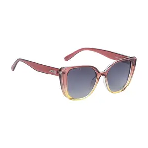 velo-store-120261023014903483291