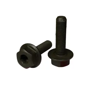 velo-store-2202610200254011406294