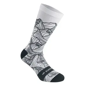 velo-store-2202610200603401445971