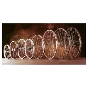 velo-store-22026102100364280784
