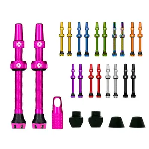 velo-store-220261021081804139892